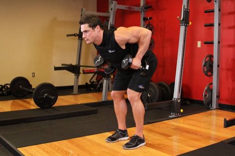 Finishing position of the Bent-Over Dumbbell Row