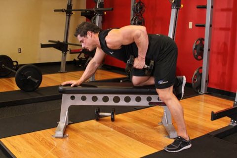 Finishing position of the Dumbbell Row