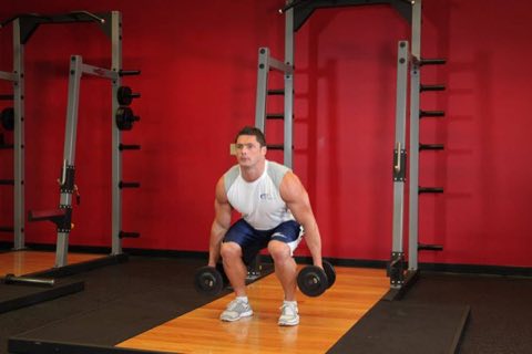 Finishing position of the Dumbbell Squat