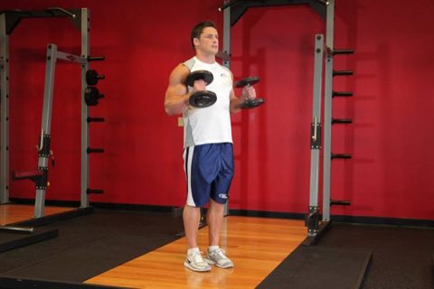 Finishing position of the Hammer Curl