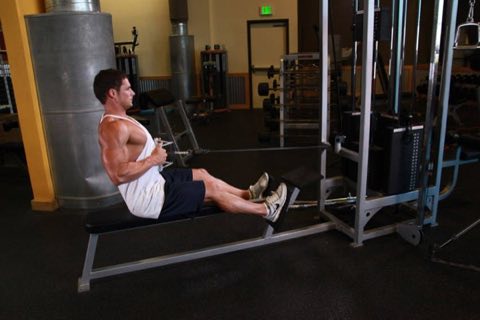 Finishing position of the Seated Cable Row