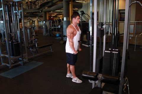 Finishing position of the Tricep Pushdown